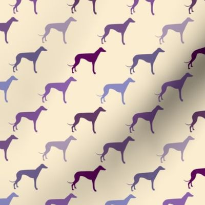 Greyhound - Shades of Purple