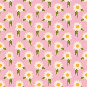 Sunflower pink background small