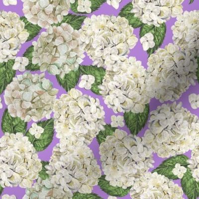 White Hydrangeas Purple Medium 8" Non-directional  Packed