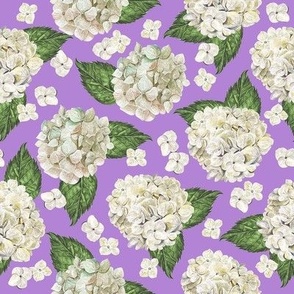 White Hydrangeas Purple Medium 8