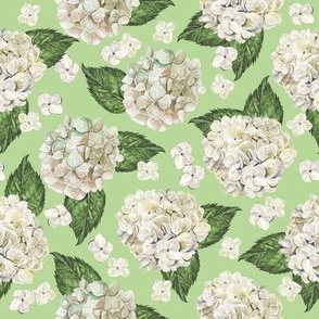 White Hydrangeas Green Medium 8