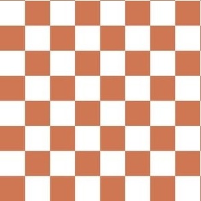 Medium Scale // Dark Coral Pink Checkers Checkerboard Retro 3/4 Inch Squares  