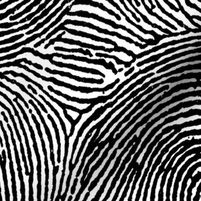 Fingerprint stripes black & white