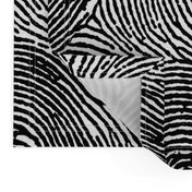 Fingerprint stripes black & white