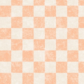 Check Textured Pastel Peach Large