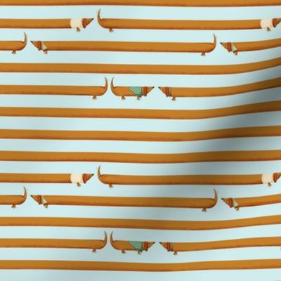 dachshund mini stripes - lightblue