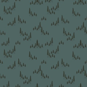 winter trees-fir-forest