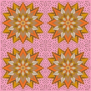 Spinning Starr_on pink_12x12