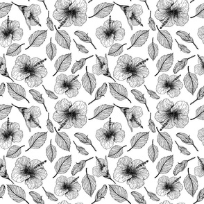 Tropical Hibiscus flower, hand drawn Line art design in black and white 