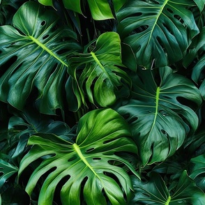 Monstera and Tropical Leaves 1