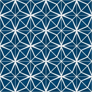 Navy Blue Geometric