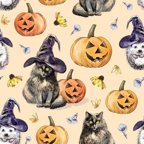witchy hat cat and hedgehog halloween