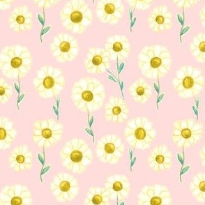 Yellow Watercolor Daisies in Soft Pink - (M)