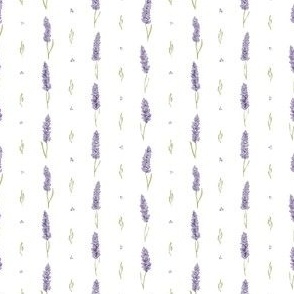 French Linens Lavender Stripes Ditsy