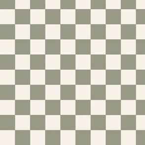 Sage Green and Cream Checkers