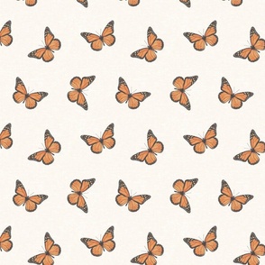 Monarch Butterflies - Spaced