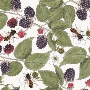 Medium Scale - Blackberries & Bees