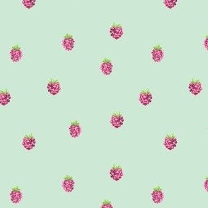 Watercolor Raspberries in Mint Green - (M)