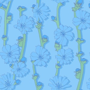 Pastel Blue Wildflower Chicory 