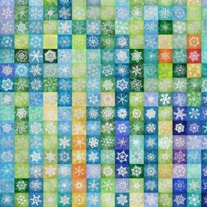 Jan 2023-Jan 2024 Temperature Quilt Cheater Panel Small