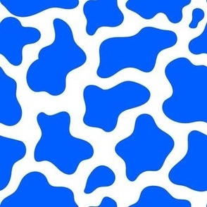 Medium Scale Cow Print in Cobalt Blue