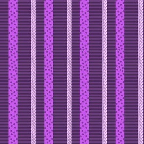 MCLC7 - Maximalist Eclectic Stripes in  Purple 