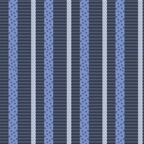 MCLC3 - Maximalist Eclectic Stripes in Monochromatic Steel Blue 