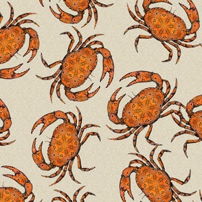 Crab on textured cream - tumbled