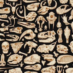 Skulls n' Skulls Black and Brown