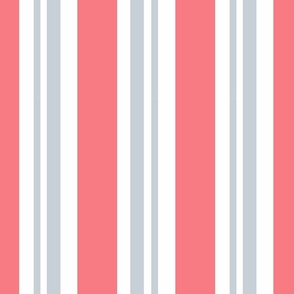 Seaside Stripe in Gray and Cape Cod Coral