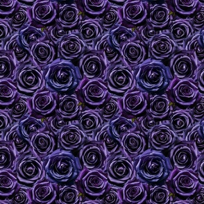 Roses in Mystic Blue and Purple