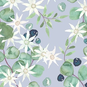 flannel flower & berries on soft mauve