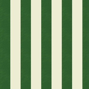 Retro Stripe Pattern Mughal Green Color