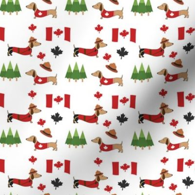 Canadian Dachshund Print - Adorable For Canada Wiener Dog Moms and Dads