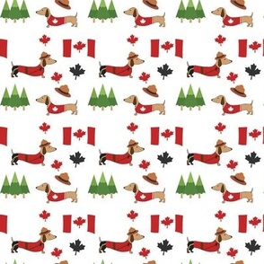 Canadian Dachshund Print - Adorable For Canada Wiener Dog Moms and Dads