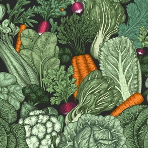 hand-drawn vintage vegetables organic fresh produce retro traditional botanical illustration
