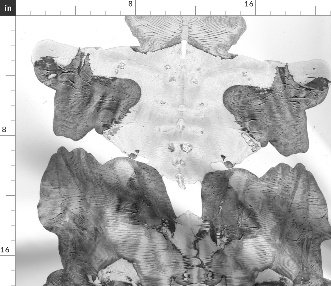 Rorschach - 2