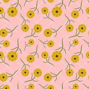 Pink Sunflower