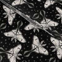 Luna Moths in Black and Cream