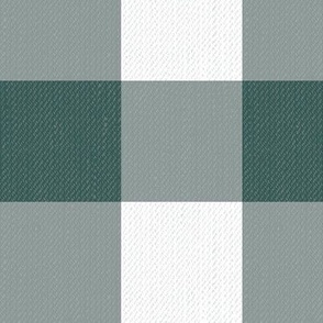 Twill Textured Gingham Check Plaid (3" squares) - Eucalyptus Leaf Green and White  (TBS197)