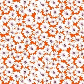African Boho - African Daisy on Red-Orange Background