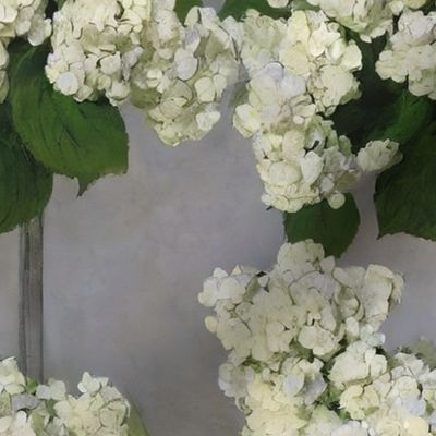 belinda's backyard hydrangeas: white hydrangea, hydrangea wallpaper, moody floral, vintage floral