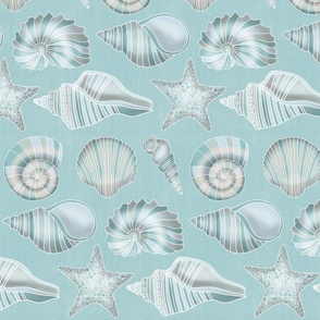 Seashell Collection  // Opal Green Background 