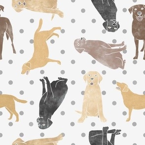 Assorted Labrador Retrievers and Dots // Brown, Black, and Yellow