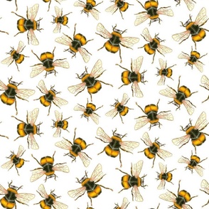 Hand Drawn Fuzzy Bumblebees Tossed Non Directional on White Medium Scale 