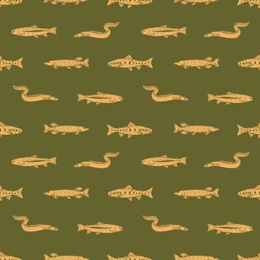Freshwater Fishes: Salmon, Trouts and Pikes Retro - “Cabin By The Lake” Collection #P2304294