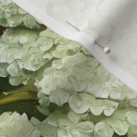 nora's backyard hydrangeas: green hydrangea, hydrangea wallpaper, moody florals, vintage floral