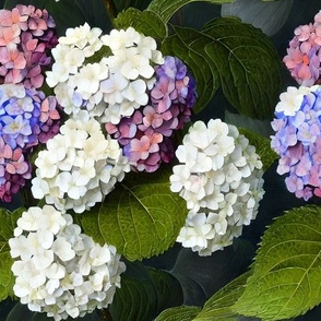 piper's backyard hydrangeas: purple hydrangea, hydrangea wallpaper, moody florals, vintage floral