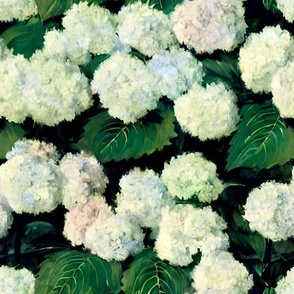 queenie's backyard hydrangeas: white hydrangea, hydrangea wallpaper, moody florals, vintage floral