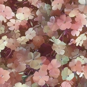 Phlox Flowers in Shades of Coral 